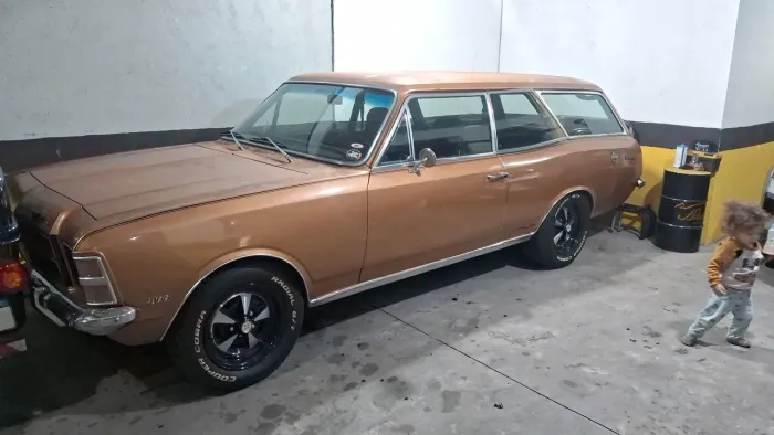 Chevrolet Caravan L/sl/s/ss 2.5/4.1/4.2 1979