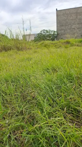 Terreno à venda, 702 m² por R$ 2.500.000,00 - Jardim América - Paulínia/SP