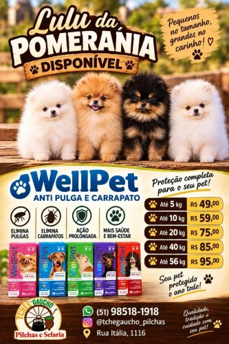 Antipulgas e Carrapatos Wellpet