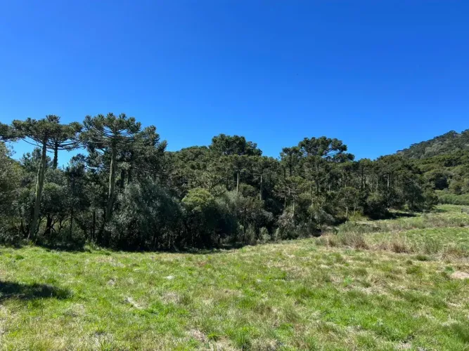 Pousada com 5 suítes e área total de 60.000,00 m² em Vacas Gordas, Urubici/SCi