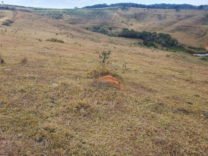 FAZENDA COM 152 ALQUIRES NA REGIÃO DE BAEPENDI MG