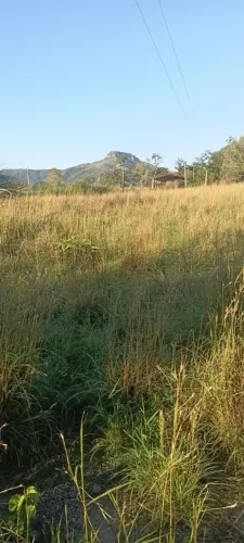 Sìtio de 8 hectares e meia Região São Geronimo beira do rio Aricazinho