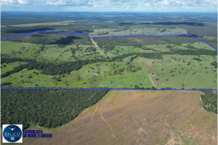 Fazenda à Venda em Araguaçu - TO | 115 Alqueires | Potencial para Soja