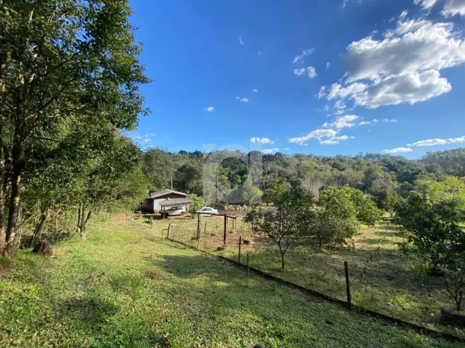 Chácara com 4 dormitórios à venda, 16000 m² por R$ 405.000,00 - Macaco Branco - Portão/RS