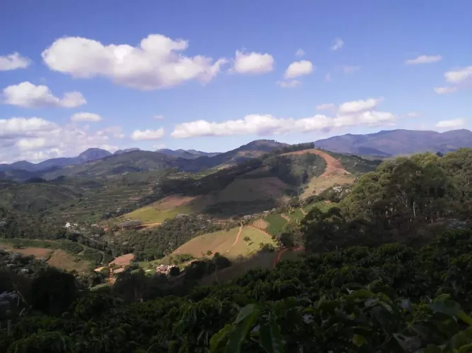 Sítio em Araponga - MG