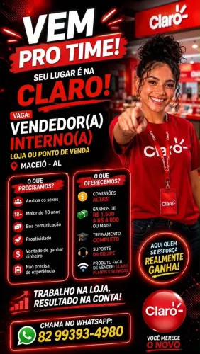 VENDEDOR INTERNO