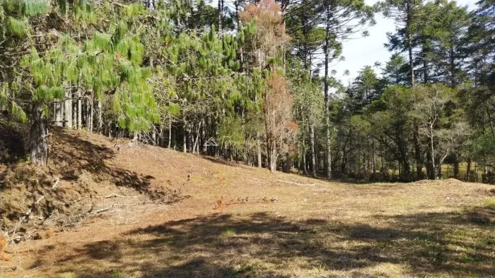 Terreno para venda em Sapucaí Mirim - MG