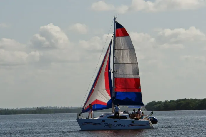 Catamarã a vela ( modelo Jacaré 28)
