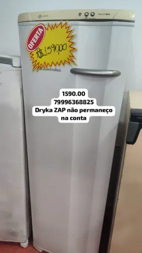 Freezer vertical