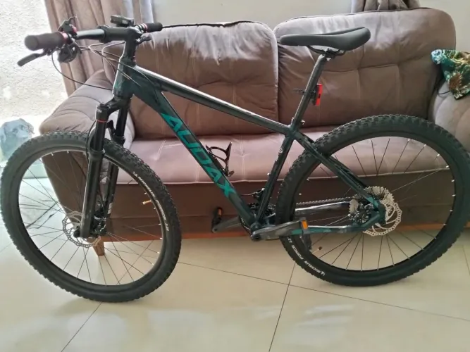 Aro 29 Audax ADX 200