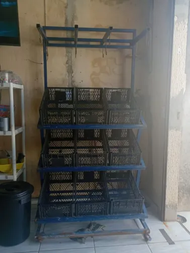 Fruteira de ferro