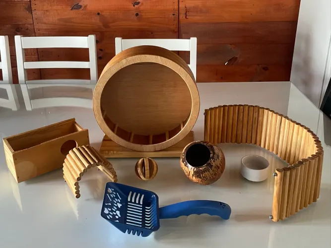 KIT Hamster