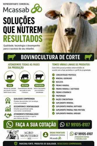 Nutrição BOVINOS De corte 