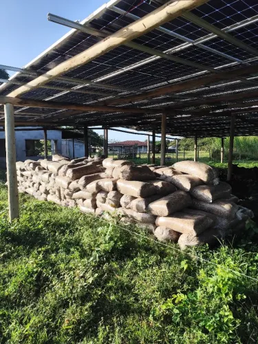 Silagem de capim saco com algum furo