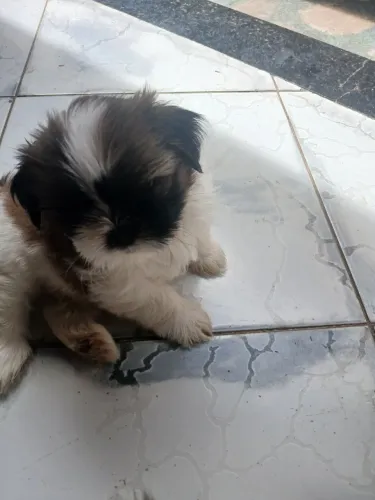 Vende-se