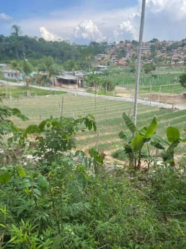 Terreno