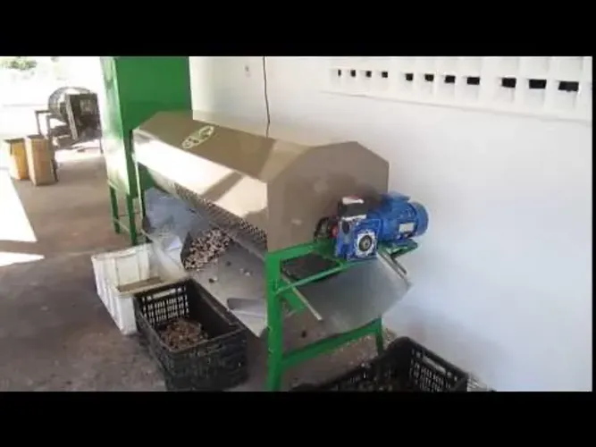 Máquina de cortar castanha