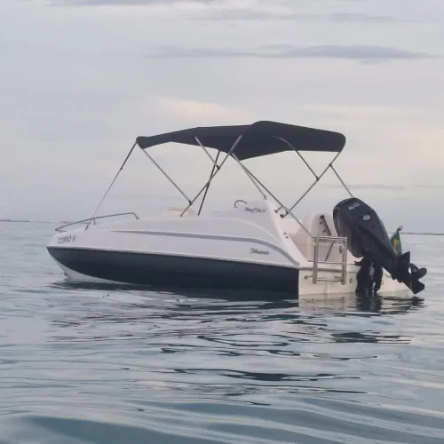 Flying Fish NOVÍSSIMA - Totalmente reformada - Motor 60HP 2025 na garantia - 192 horas