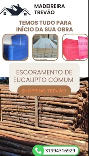 Escoramento de eucalipto comum 4mt