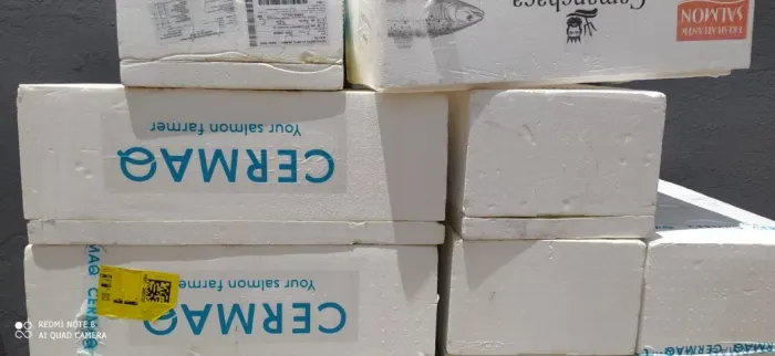 CAIXAS TÉRMICA DE ISOPOR PARA PESCADOS 25L - USADAS