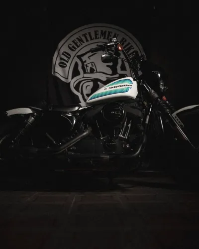 Sportsters Iron 1200 2019