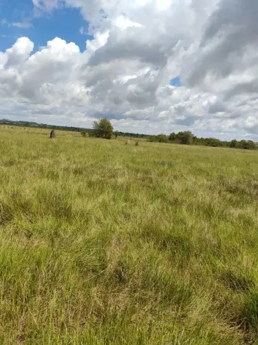 Fazenda à Venda  330 Alqueires na Beira do Rio Parana -Bataguassu - MS