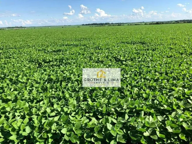 Fazenda à venda na região de Montividiu, Goiás