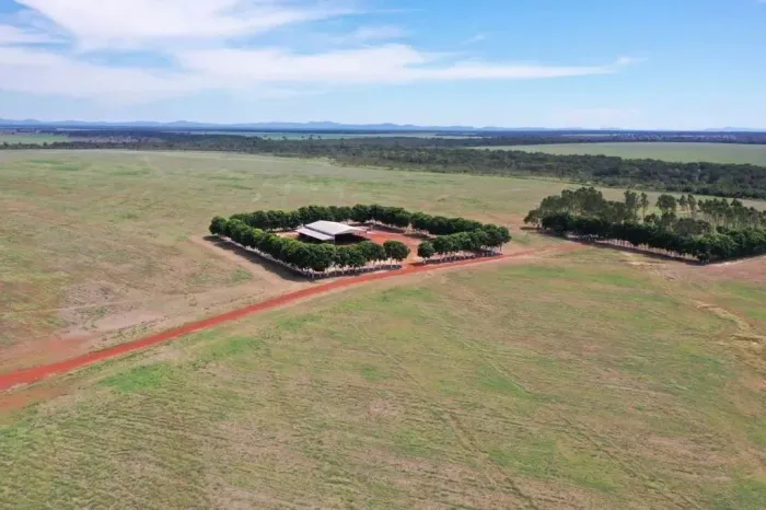 Fazenda a venda em Peixe Tocantins!!!