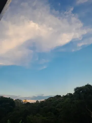 Faço todos tipo de serviço limpeza de terreno quintal