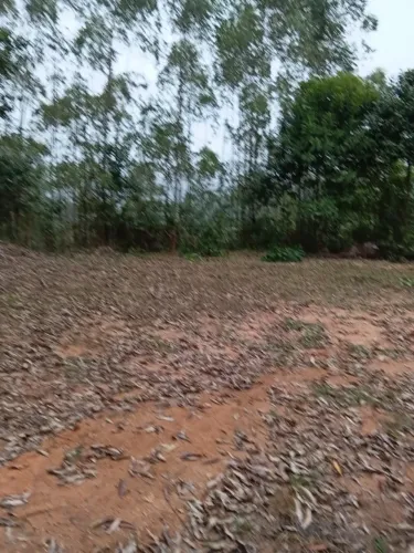 Chácara em marechal floriano