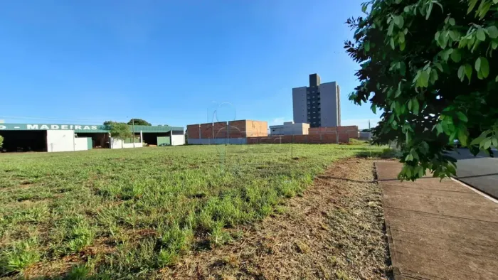 Terreno de 250m² à venda - Jardim Amália em Sertãozinho