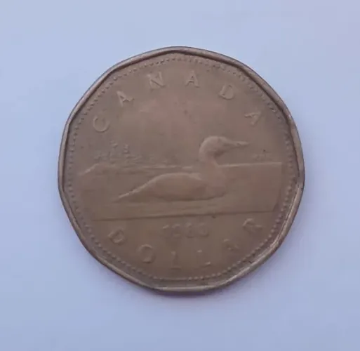 Moeda antiga 1 dólar canadense de 1988