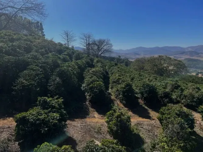 Magnífica Fazenda com Área total: 435,6 hectares (180 alqueires), Santa Rita do Sapucaí/MG