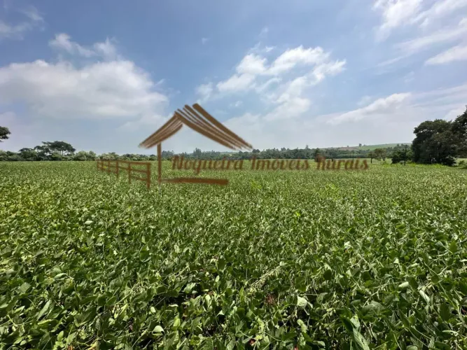 Sitio com 15 alqueires na região de Avaré-SP