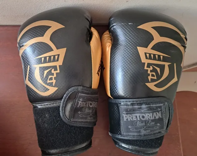 Luva, Muay  Thay, Boxe. PRETORIAN 14 OZ