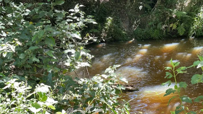 Terreno com água no fundo