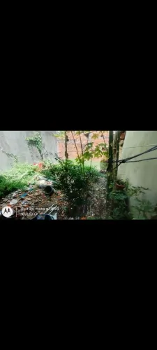 Terreno nos fundos sacramenta