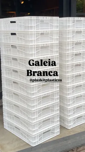 Galeia branca | nova