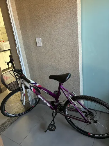 Bicicleta feminina