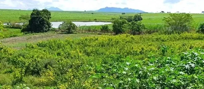 ROPRIEDADE TRÊS ALQUEIRES TRODA DÁGUA RAVESSÃO DE CAMPOS