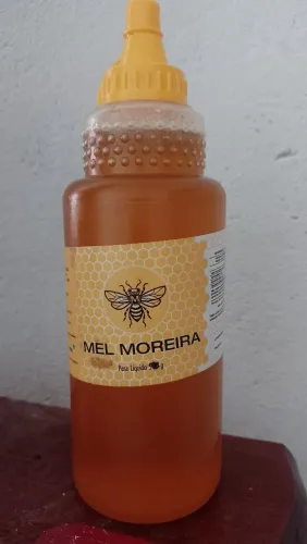 Mel Moreira 