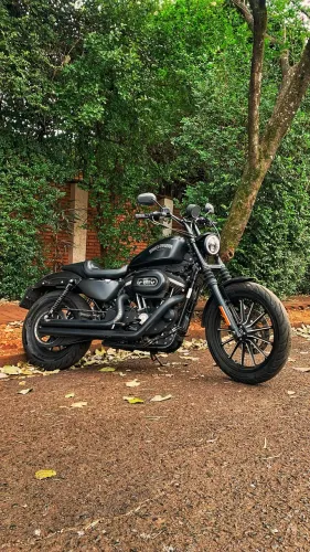883 iron | sportster