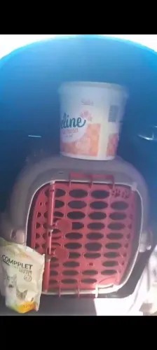 Casa de cachorro n*7,grande porte. É  a caixa de transporte 