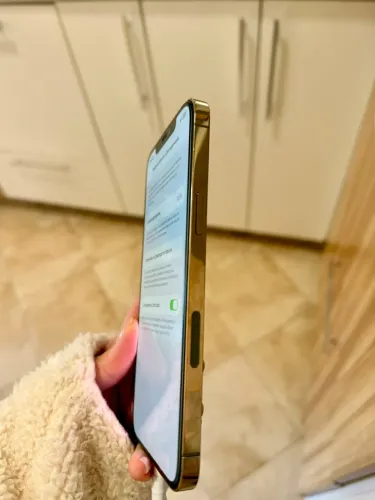iPhone 12 Pro Max 256 GB Dourado | Bateria 100% | Excelente Estado