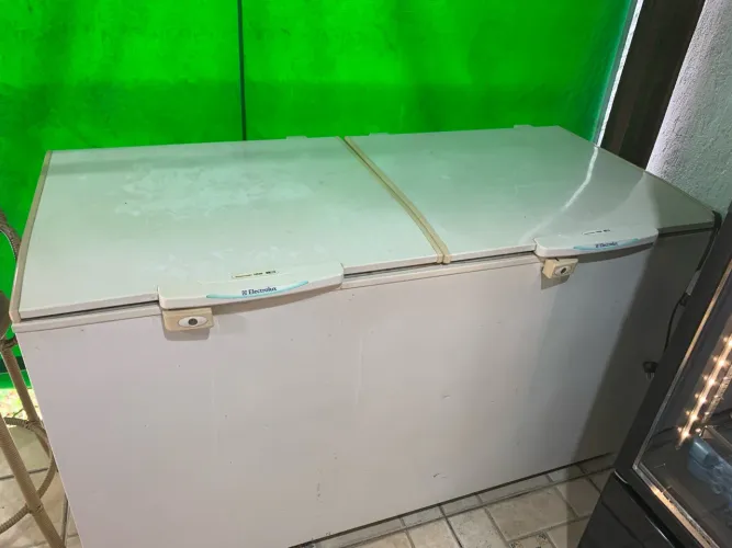 Freezer Electrolux