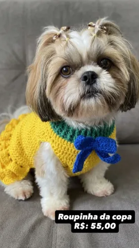 Roupas de crochê para pet e humanos