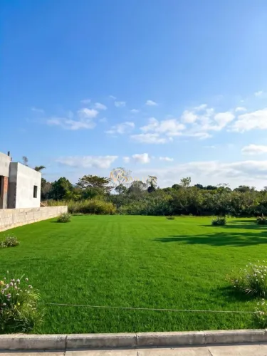 Terreno à venda, 448 m² por R$ 700.000 - Canasvieiras - Florianópolis/SC