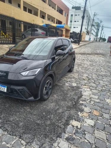 BYD Dolphin Mini (Elétrico) 2025