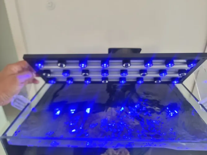Luminária aquario marinho