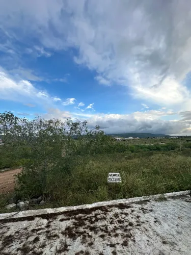 Terreno Loteamento Riacho Verdejante